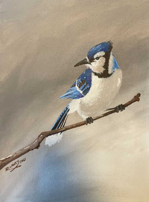 Bluejay