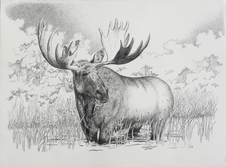 First Drink Of The Morning